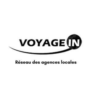 Voyage in logo